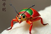 Snipaste版本更新有哪些新内容、功能及修复的bug？